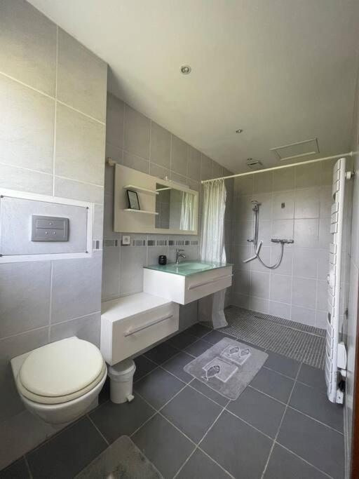 Charmante Maison En Pierre Morlaix Zewnętrze zdjęcie